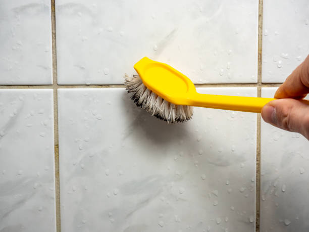 Best Mold Cleaning Services  in Pass Christian, MS